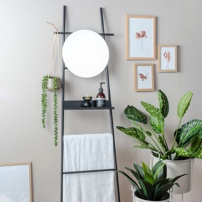 Wall Ladder Glint with Mirror Black