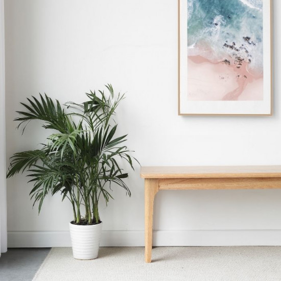 [SALE] DANA Bench, L100-155 , Natural oak 