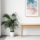 [SALE] DANA Bench, L100-155 , Natural oak 