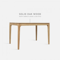 DANA Dining Table Solo Chair [SALE]