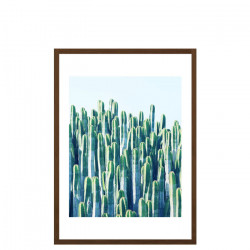 Cactus V2 - Large, Framed with Natural Walnut